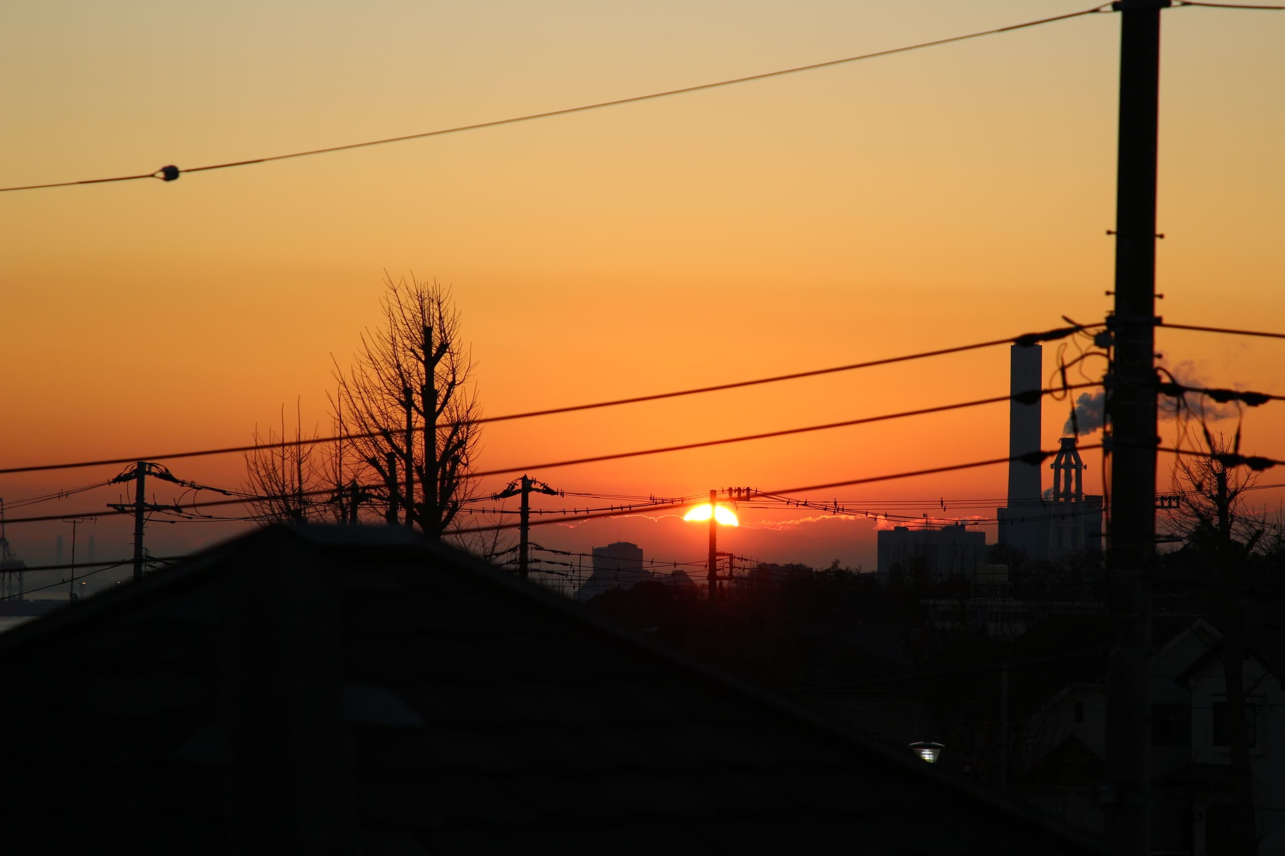 img_7353.jpg